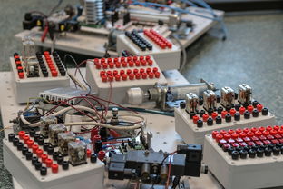 乐鱼娱乐-数字化转型：青训系统中的大数据应用，数字化转型_青训系统中的大数据应用有哪些