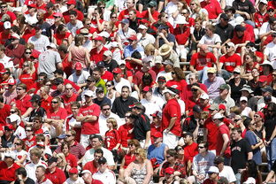 高校体育赛事观众体验提升策略研究，体育赛事审美体验