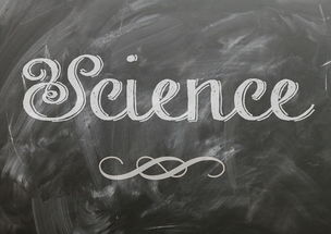 麦考领袖风范：全黑队胜利的灵魂人物，麦考3个总冠军