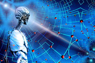 高校运动训练科学管理模式创新，科学的运动训练管理系统应包含哪些方面